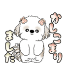 シーズー犬 「毎日送りやすい大きめ文字」（個別スタンプ：3）