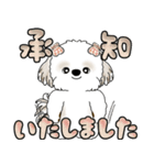 シーズー犬 「毎日送りやすい大きめ文字」（個別スタンプ：4）