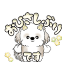 シーズー犬 「毎日送りやすい大きめ文字」（個別スタンプ：5）