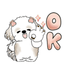 シーズー犬 「毎日送りやすい大きめ文字」（個別スタンプ：7）