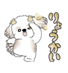 シーズー犬 「毎日送りやすい大きめ文字」（個別スタンプ：8）