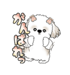 シーズー犬 「毎日送りやすい大きめ文字」（個別スタンプ：9）