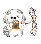 シーズー犬 「毎日送りやすい大きめ文字」（個別スタンプ：10）