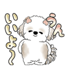 シーズー犬 「毎日送りやすい大きめ文字」（個別スタンプ：12）