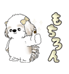 シーズー犬 「毎日送りやすい大きめ文字」（個別スタンプ：15）
