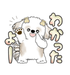 シーズー犬 「毎日送りやすい大きめ文字」（個別スタンプ：16）
