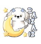 シーズー犬 「毎日送りやすい大きめ文字」（個別スタンプ：17）