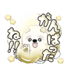 シーズー犬 「毎日送りやすい大きめ文字」（個別スタンプ：19）