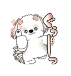 シーズー犬 「毎日送りやすい大きめ文字」（個別スタンプ：20）