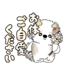 シーズー犬 「毎日送りやすい大きめ文字」（個別スタンプ：22）