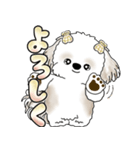 シーズー犬 「毎日送りやすい大きめ文字」（個別スタンプ：25）