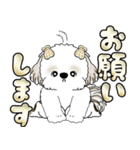 シーズー犬 「毎日送りやすい大きめ文字」（個別スタンプ：26）