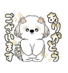 シーズー犬 「毎日送りやすい大きめ文字」（個別スタンプ：27）