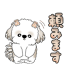 シーズー犬 「毎日送りやすい大きめ文字」（個別スタンプ：29）