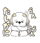 シーズー犬 「毎日送りやすい大きめ文字」（個別スタンプ：34）