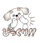 シーズー犬 「毎日送りやすい大きめ文字」（個別スタンプ：36）