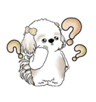 シーズー犬 「毎日送りやすい大きめ文字」（個別スタンプ：39）