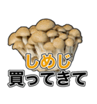 アレ買ってきて！おつかいスタンプ（個別スタンプ：24）