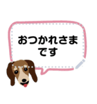 シュナロア 小型犬メッセージスタンプ（個別スタンプ：6）