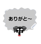 シュナロア 小型犬メッセージスタンプ（個別スタンプ：8）