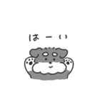 うごくシュナウザースタンプ2（個別スタンプ：15）