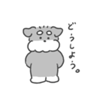 シュナウザースタンプ60（個別スタンプ：2）