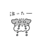 シュナウザースタンプ60（個別スタンプ：16）