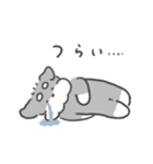 シュナウザースタンプ60（個別スタンプ：22）