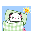 かわいいウーパールーパー（文字なし）（個別スタンプ：1）