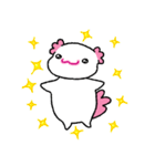 かわいいウーパールーパー（文字なし）（個別スタンプ：3）