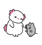 かわいいウーパールーパー（文字なし）（個別スタンプ：19）