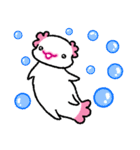 かわいいウーパールーパー（文字なし）（個別スタンプ：21）