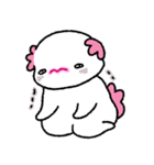 かわいいウーパールーパー（文字なし）（個別スタンプ：36）
