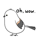 親切なシマエナガ(EN)（個別スタンプ：12）