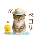 ⚡とびだす！にゃんこの「夏」の毎日（個別スタンプ：3）