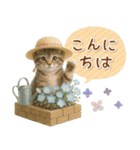 ⚡とびだす！にゃんこの「夏」の毎日（個別スタンプ：6）