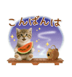 ⚡とびだす！にゃんこの「夏」の毎日（個別スタンプ：7）