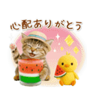 ⚡とびだす！にゃんこの「夏」の毎日（個別スタンプ：11）