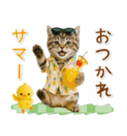⚡とびだす！にゃんこの「夏」の毎日（個別スタンプ：13）