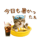 ⚡とびだす！にゃんこの「夏」の毎日（個別スタンプ：15）