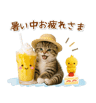 ⚡とびだす！にゃんこの「夏」の毎日（個別スタンプ：16）