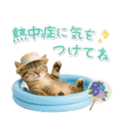 ⚡とびだす！にゃんこの「夏」の毎日（個別スタンプ：17）