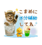 ⚡とびだす！にゃんこの「夏」の毎日（個別スタンプ：19）