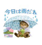 ⚡とびだす！にゃんこの「夏」の毎日（個別スタンプ：21）