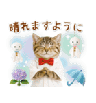 ⚡とびだす！にゃんこの「夏」の毎日（個別スタンプ：22）