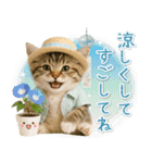 ⚡とびだす！にゃんこの「夏」の毎日（個別スタンプ：24）
