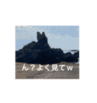 ねこだらけ…のはず笑（個別スタンプ：6）