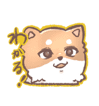 柴犬ふくくん 福岡弁まじりスタンプ（個別スタンプ：19）