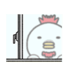 チキ・チッキン（個別スタンプ：30）