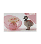 プレミアム福袋⑨（個別スタンプ：4）